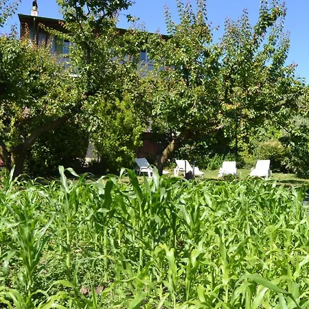 Apartament Casa Basilio